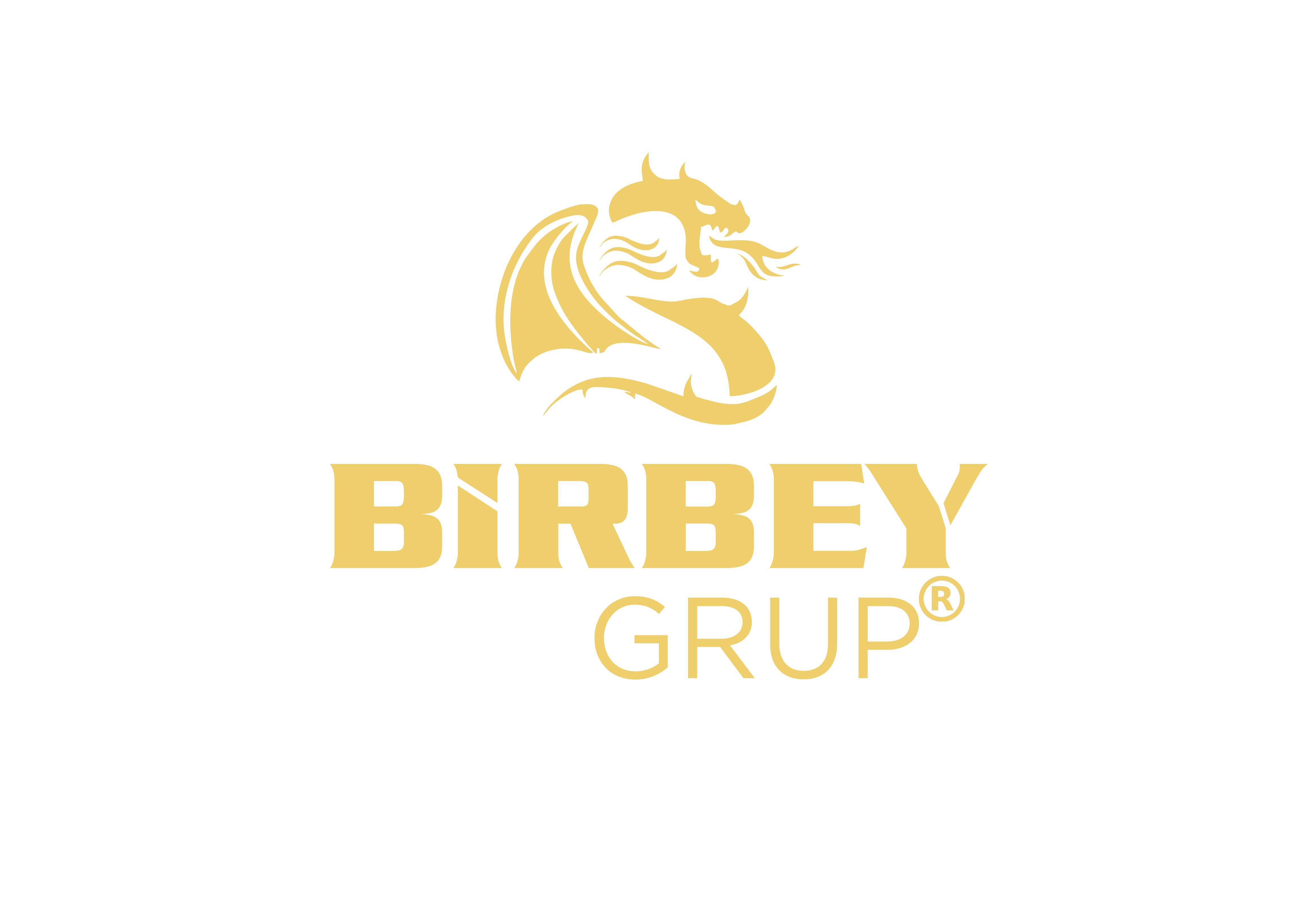 Birbey Grup